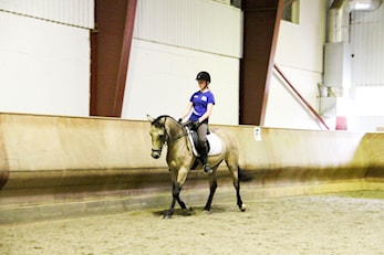 Banetrening i dressur